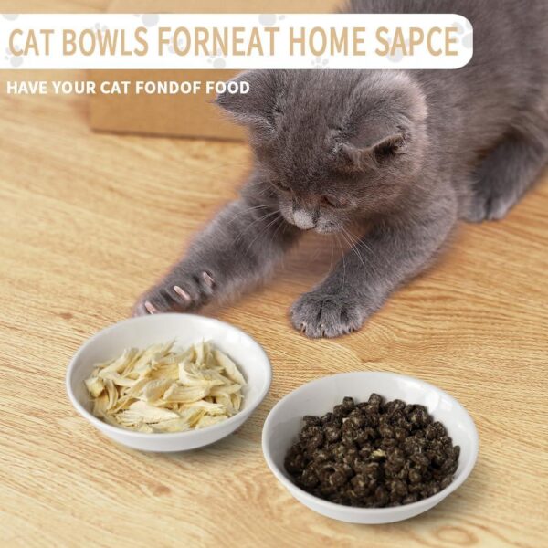 2-Piece Shallow Ceramic Cat Bowls — Whisker-Friendly, Non-Slip & Microwave Safe (5-Inch Set)