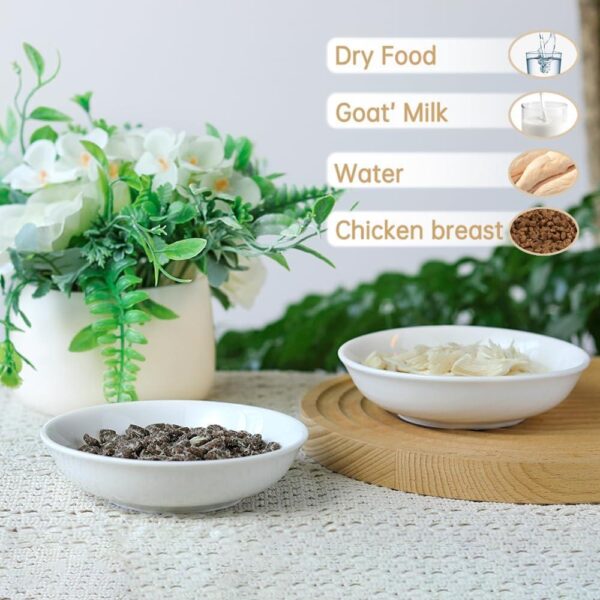 2-Piece Shallow Ceramic Cat Bowls — Whisker-Friendly, Non-Slip & Microwave Safe (5-Inch Set)