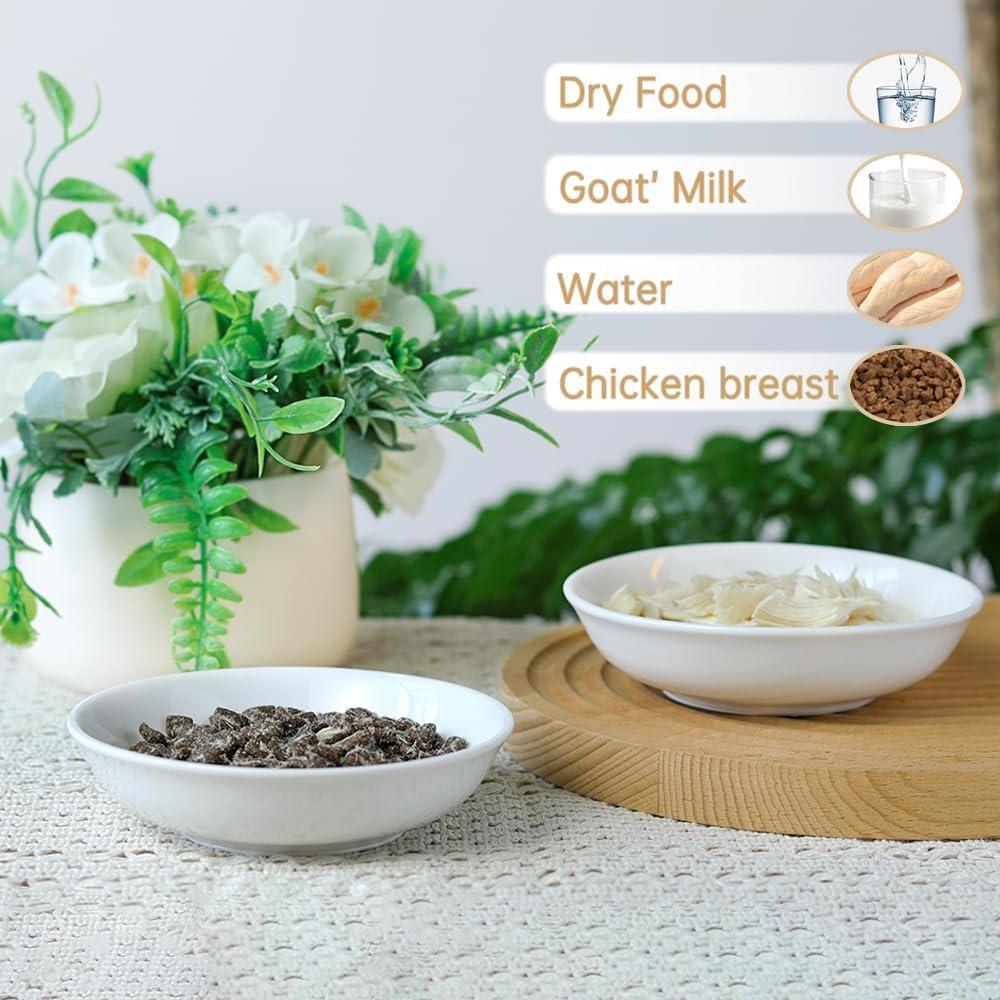 Whisker-Friendly Ceramic Cat Bowls 5 Inch