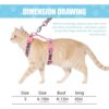 3PCS Cat Harness & Leash Set – Adjustable Escape-Proof Kitten Walking Collar with Breathable Lightweight Design