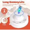 4-in-1 Rechargeable Interactive Cat Toy – Automatic Butterfly, Feather & Hide-and-Seek Play with Realistic Sounds