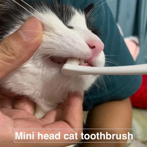 6-Piece Cat Toothbrush Set – Micro Head & Ultra-Soft Bristles for Small Mouths, Kitten Dental Cleaning Kit for Gentle Gum Care & Precise Gap Cleaning