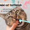 6-Piece Cat Toothbrush Set – Micro Head & Ultra-Soft Bristles for Small Mouths, Kitten Dental Cleaning Kit for Gentle Gum Care & Precise Gap Cleaning