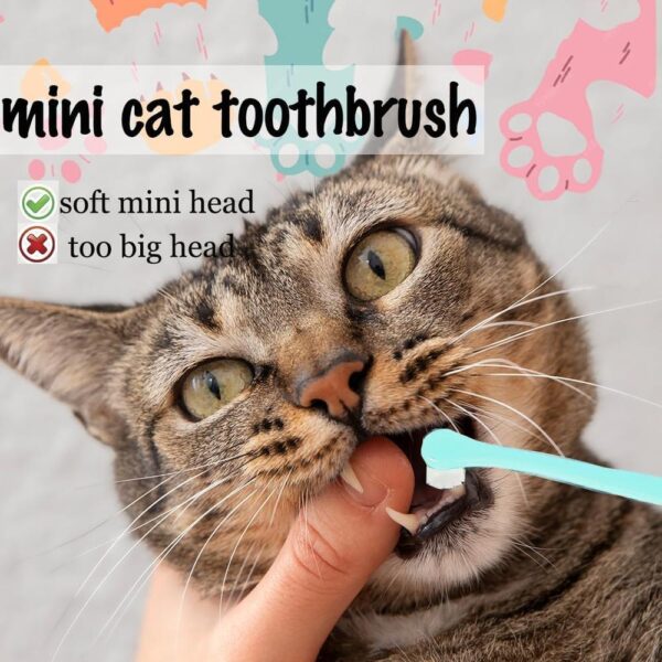 6-Piece Cat Toothbrush Set – Micro Head & Ultra-Soft Bristles for Small Mouths, Kitten Dental Cleaning Kit for Gentle Gum Care & Precise Gap Cleaning