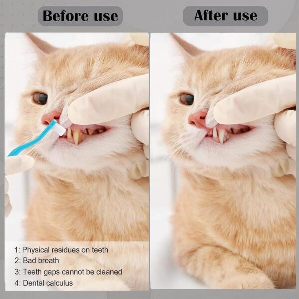 6-Piece Cat Toothbrush Set – Micro Head & Ultra-Soft Bristles for Small Mouths, Kitten Dental Cleaning Kit for Gentle Gum Care & Precise Gap Cleaning