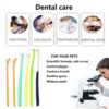 6-Piece Cat Toothbrush Set – Micro Head & Ultra-Soft Bristles for Small Mouths, Kitten Dental Cleaning Kit for Gentle Gum Care & Precise Gap Cleaning