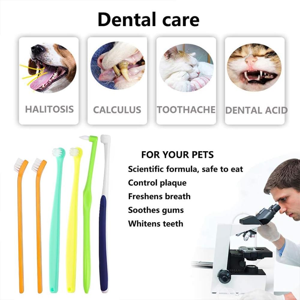 Cat Toothbrush Set with Micro Head and Soft Bristles