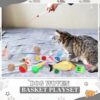 76-Piece Cat Toy Gift Set with Woven Storage Basket – Interactive Indoor Kitten Toys, Springs, Balls, Plush Mice & Wand Toys