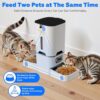 7L Dual-Camera Automatic Cat Feeder for Two Cats – 2K Night Vision, WiFi App Control & Stainless Steel Bowls