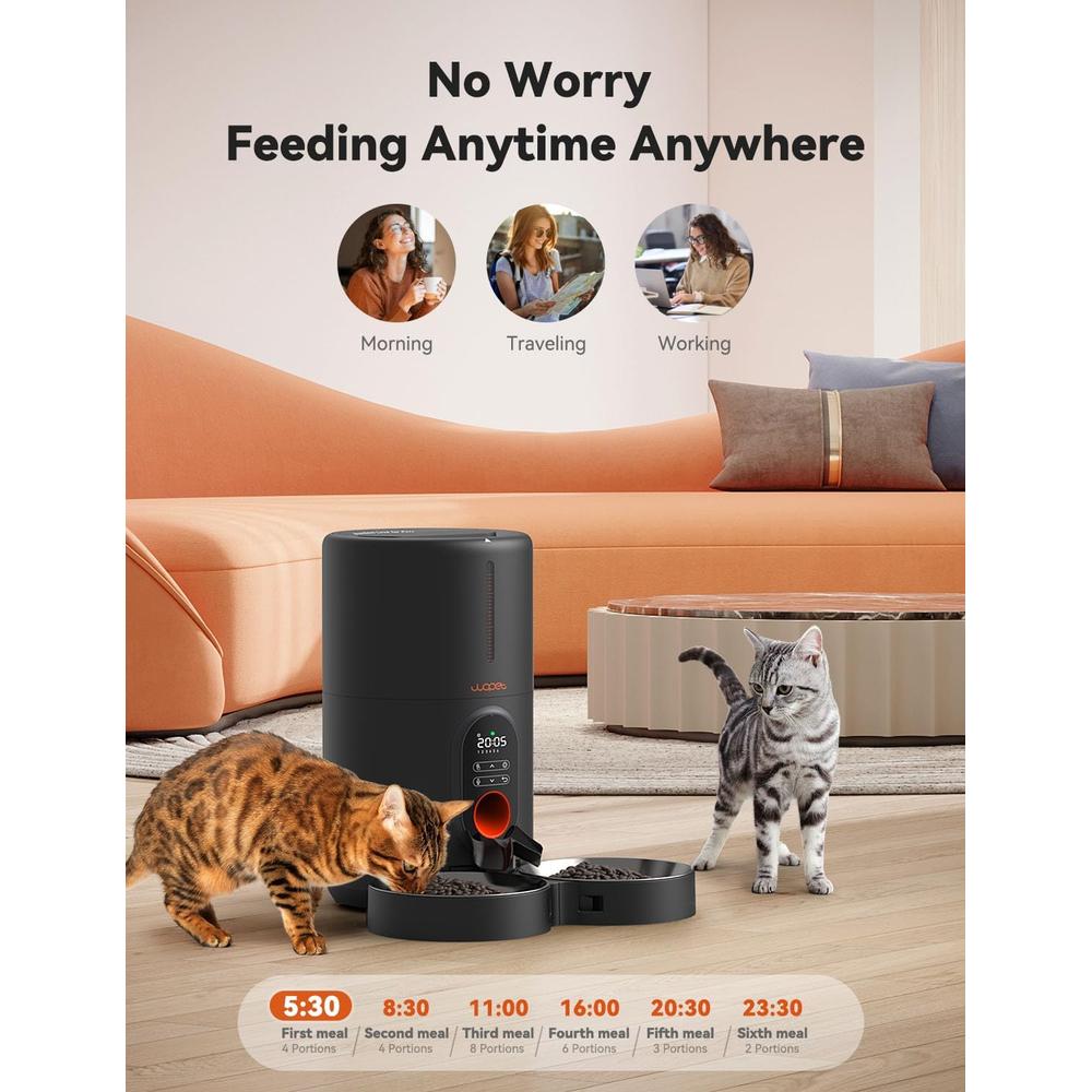 Automatic Cat Feeder for Two Cats