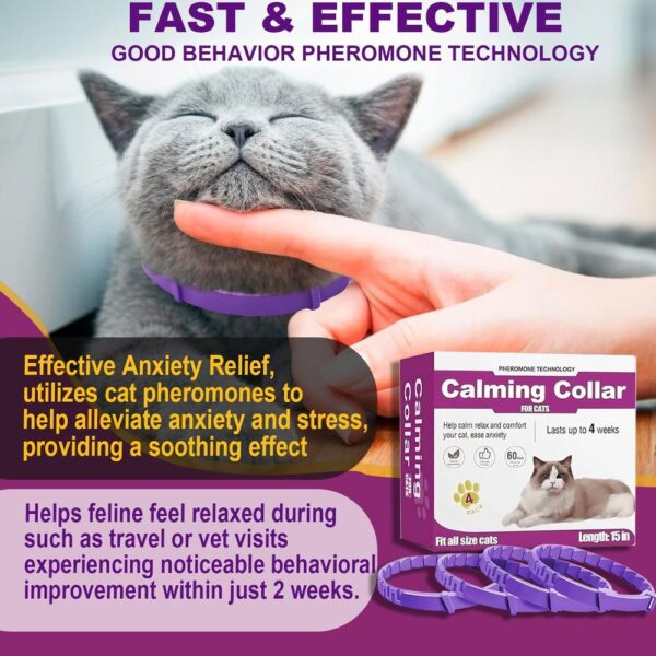 Cat Calming Collar – 4-Pack 60-Day Pheromone Collars for Stress & Anxiety Relief, Adjustable Breakaway 15″ Design