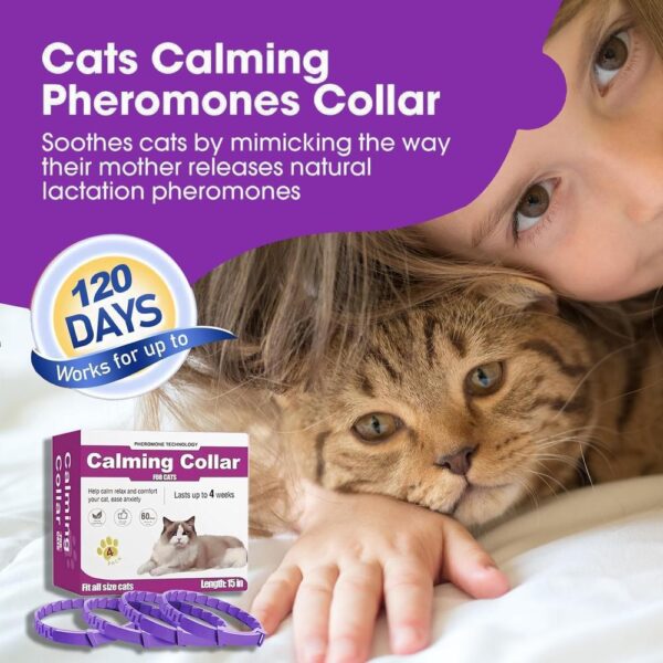 Cat Calming Collar – 4-Pack 60-Day Pheromone Collars for Stress & Anxiety Relief, Adjustable Breakaway 15″ Design
