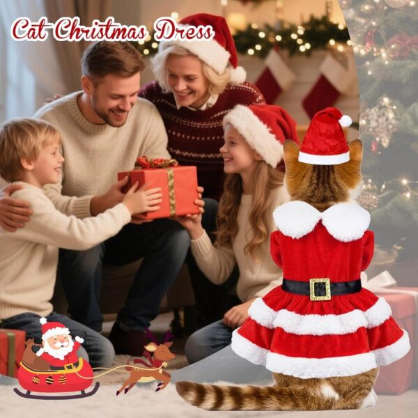Cat Christmas Dress with Santa Hat – Festive Holiday Outfit for Cats
