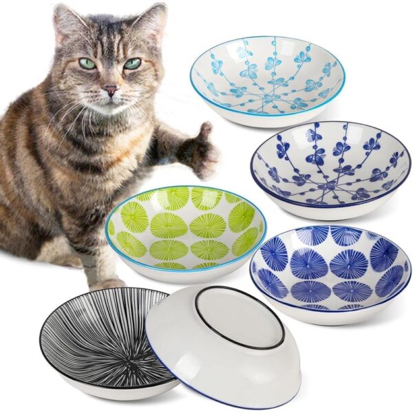 Ceramic Cat Bowls with Non-Slip Silicone Base — Wide, Whisker-Friendly Dishes (6-Piece Colorful Set)