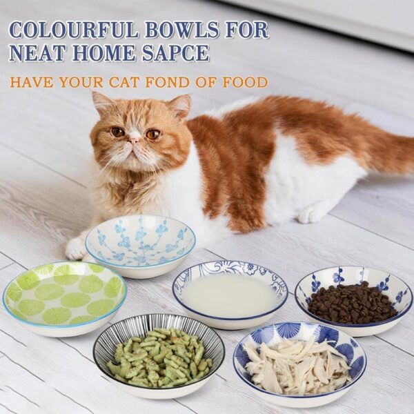 Ceramic Cat Bowls with Non-Slip Silicone Base — Wide, Whisker-Friendly Dishes (6-Piece Colorful Set)