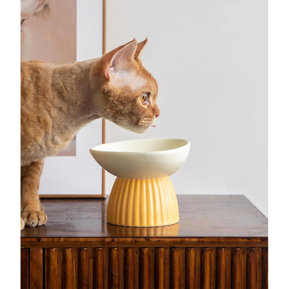 Ceramic Elevated Cat Bowl