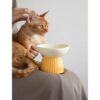 Ceramic Elevated Cat Bowl — Raised, Tilted & Whisker-Friendly Food and Water Dish