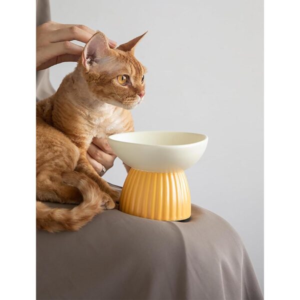 Ceramic Elevated Cat Bowl — Raised, Tilted & Whisker-Friendly Food and Water Dish