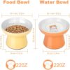 Ceramic Elevated Cat Bowls — 2-Piece Raised, Non-Slip & Whisker-Friendly Feeding Set