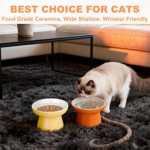 Ceramic Elevated Cat Bowls — 2-Piece Raised, Non-Slip & Whisker-Friendly Feeding Set