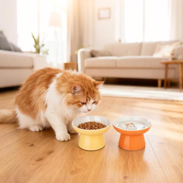 Ceramic Elevated Cat Bowls — 2-Piece Raised, Non-Slip & Whisker-Friendly Feeding Set