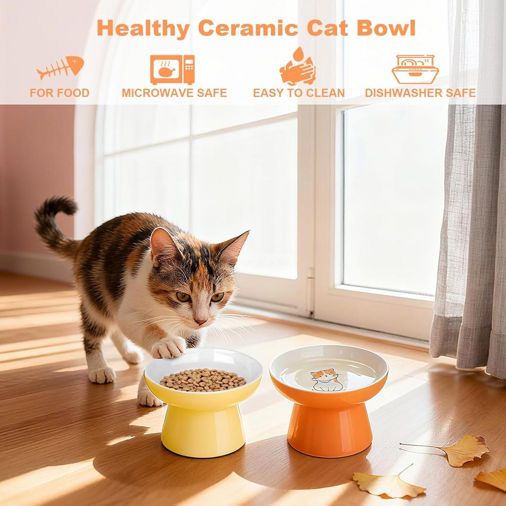 Ceramic Elevated Cat Bowls Set
