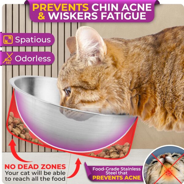 Ceramic Shallow Cat Bowls — 4-Piece Set with Non-Slip Base & Spring Toys