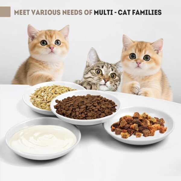 Ceramic Shallow Cat Bowls — 4-Piece Set with Non-Slip Base & Spring Toys for Indoor Cats