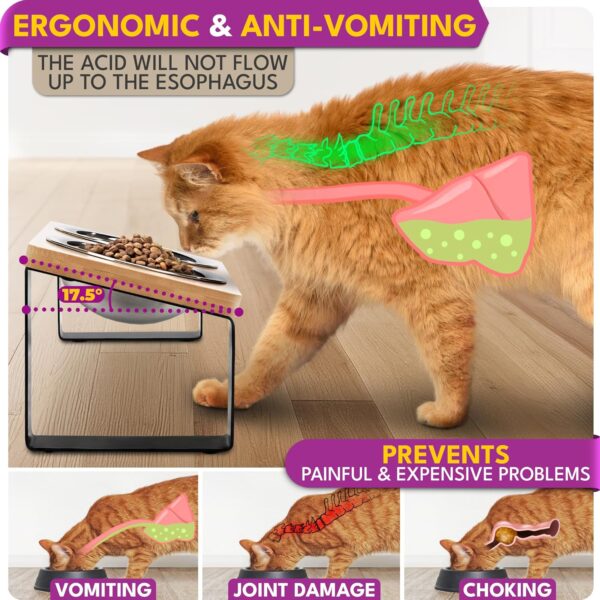 Ceramic Shallow Cat Bowls — 4-Piece Set with Non-Slip Base & Spring Toys