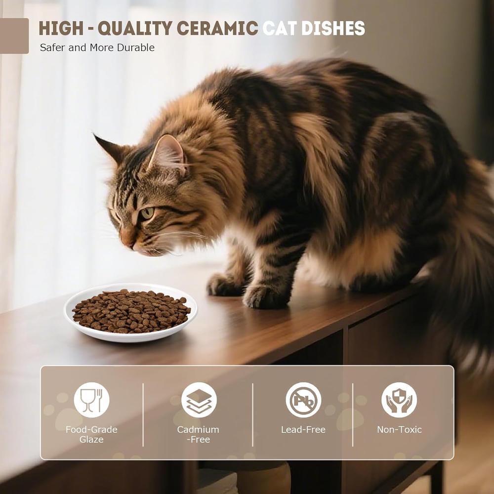 Ceramic Shallow Cat Bowls Set