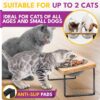 Ceramic Shallow Cat Bowls — 4-Piece Set with Non-Slip Base & Spring Toys