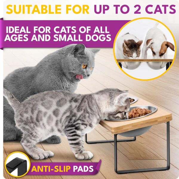 Ceramic Shallow Cat Bowls — 4-Piece Set with Non-Slip Base & Spring Toys
