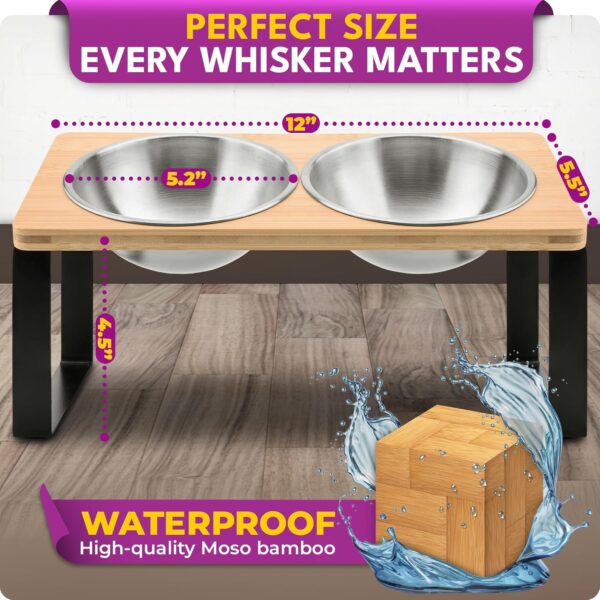 Ceramic Shallow Cat Bowls — 4-Piece Set with Non-Slip Base & Spring Toys