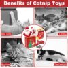 Christmas Catnip Toy Gift Set – 6-Piece Holiday Chew & Play Toys with Festive Gift Box