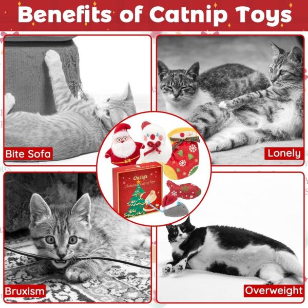 Christmas Catnip Toy Gift Set – 6-Piece Holiday Chew & Play Toys with Festive Gift Box