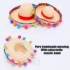 Cinco de Mayo Cat Costume Set – 5-Piece Mexican Cat Bandana, Sombrero Hat, Mustache & Accessories