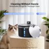 Cordless 3L Battery-Powered Cat Water Fountain — Motion Sensor, Ultra-Quiet & Stainless Steel Tray