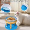 Elevated Ceramic Cat Bowls — Adjustable Wooden Stand, Whisker-Friendly Wide Dishes & Anti-Vomit Feeding Design