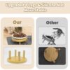 Elevated Ceramic Cat Bowls with Silicone Mat — Raised, Whisker-Friendly & Bamboo Stand Feeding Set