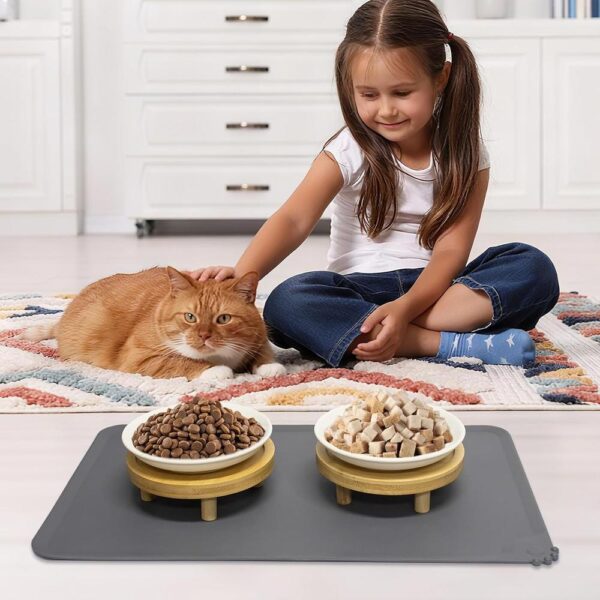 Elevated Ceramic Cat Bowls with Silicone Mat — Raised, Whisker-Friendly & Bamboo Stand Feeding Set