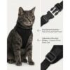 Escape-Proof Cat Harness & Leash Set – Adjustable No-Pull Soft Vest with Breathable Mesh & Reflective Safety Straps