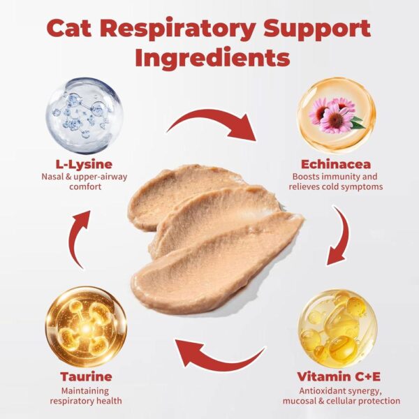 Feline Respiratory Support Sticks – Daily Upper Airway Relief for Cat Colds, Congestion & Immune Health (L-Lysine Formula, 12g × 30 Sticks)