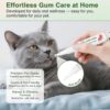 Gentle Cat Gum Care Pen – Soft Brush Oral Serum for Daily Gum Relief & Fresh Breath (No-Rinse, Stress-Free Dental Care)