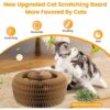 Magnetic Organ Cat Scratcher Toy – Multi-Shape Interactive Cardboard Cat Toy with Balls