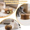 Magnetic Organ Cat Scratcher Toy – Multi-Shape Interactive Cardboard Cat Toy with Balls