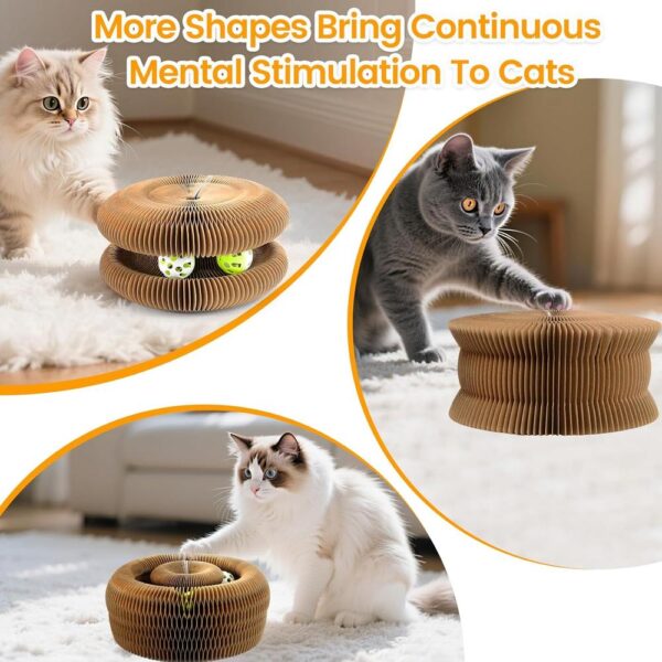 Magnetic Organ Cat Scratcher Toy – Multi-Shape Interactive Cardboard Cat Toy with Balls