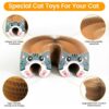 Magnetic Organ Cat Scratcher Toy – Multi-Shape Interactive Cardboard Cat Toy with Balls