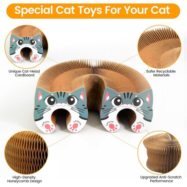 Magnetic Organ Cat Scratcher Toy – Multi-Shape Interactive Cardboard Cat Toy with Balls