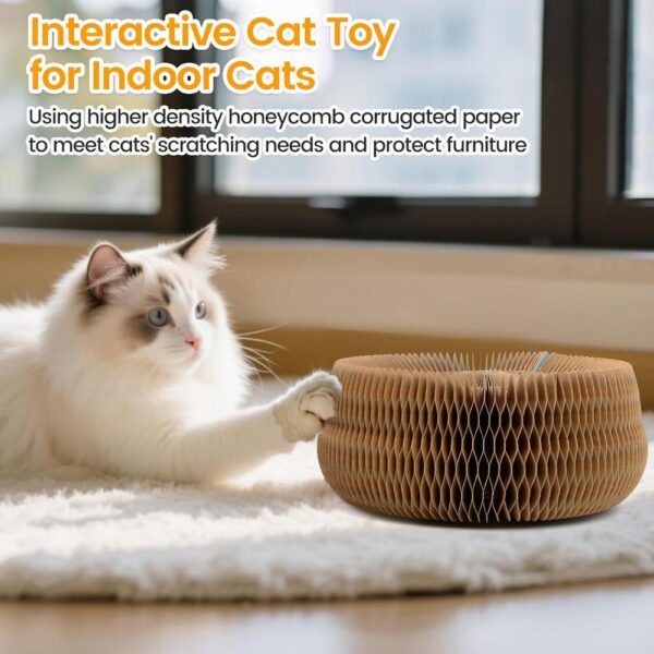Magnetic Organ Cat Scratcher Toy – Multi-Shape Interactive Cardboard Cat Toy with Balls