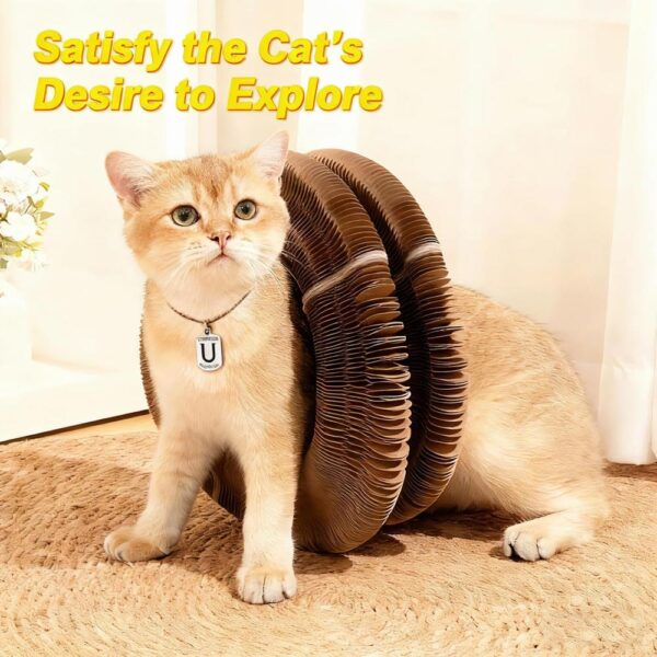 Magnetic Organ Cat Scratcher Toy – Multi-Shape Interactive Cardboard Cat Toy with Balls